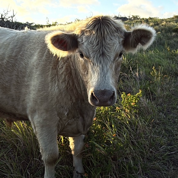 Meet your Posher, Jana - Picture 3 of 6